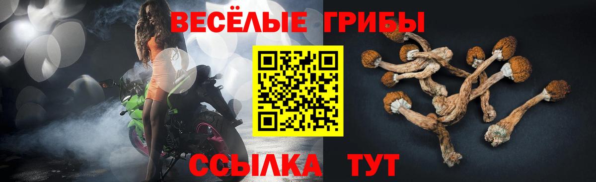 Галлюциногенные грибы GOLDEN TEACHER  цена наркотик  Советский  Вход с VPN 